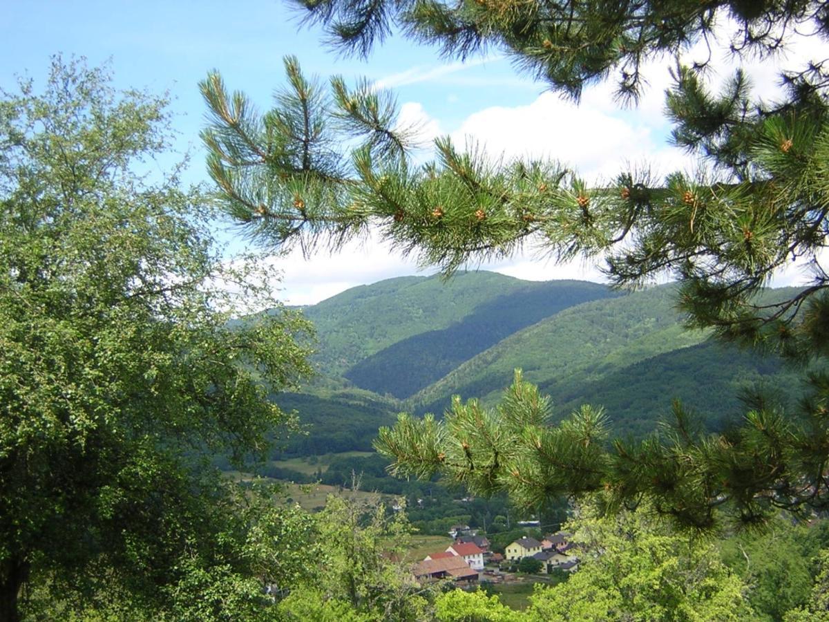 Gite Leonline Sur Les Hauteurs De Masevaux -Au Pied Des Vosges Masevaux-Niederbruck Exterior foto