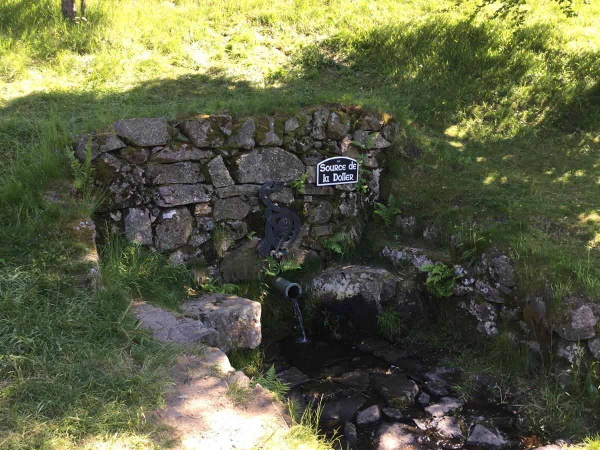 Gite Leonline Sur Les Hauteurs De Masevaux -Au Pied Des Vosges Masevaux-Niederbruck Exterior foto