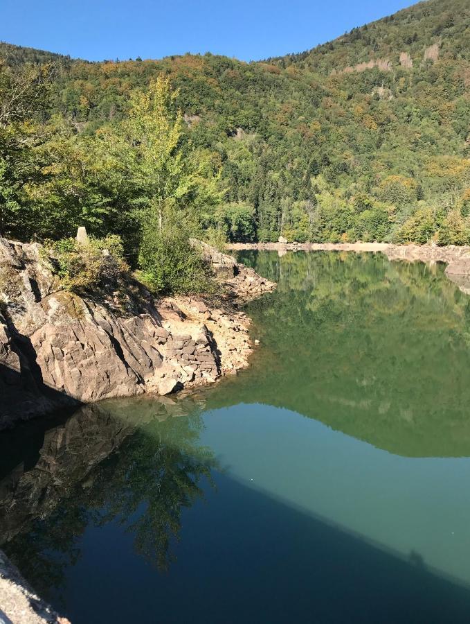 Gite Leonline Sur Les Hauteurs De Masevaux -Au Pied Des Vosges Masevaux-Niederbruck Exterior foto