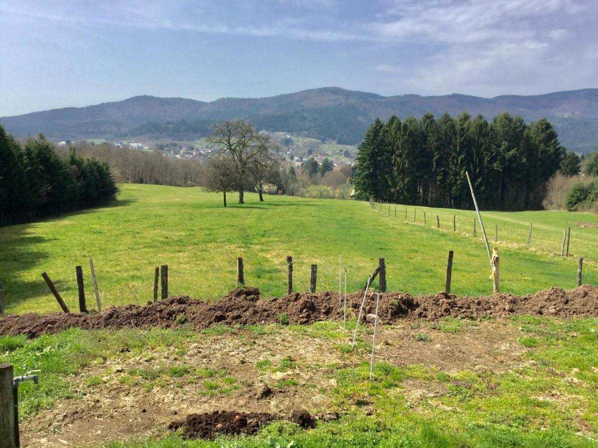 Gite Leonline Sur Les Hauteurs De Masevaux -Au Pied Des Vosges Masevaux-Niederbruck Exterior foto
