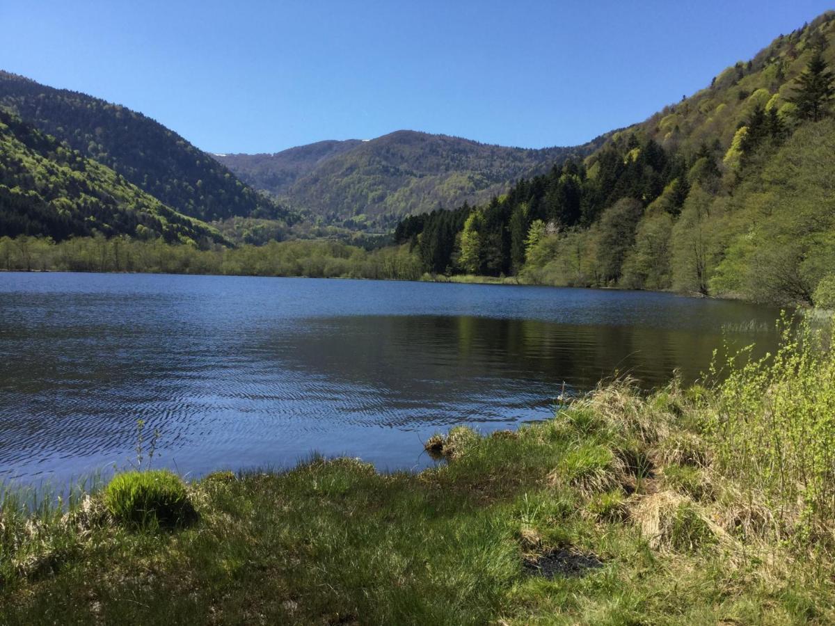 Gite Leonline Sur Les Hauteurs De Masevaux -Au Pied Des Vosges Masevaux-Niederbruck Exterior foto