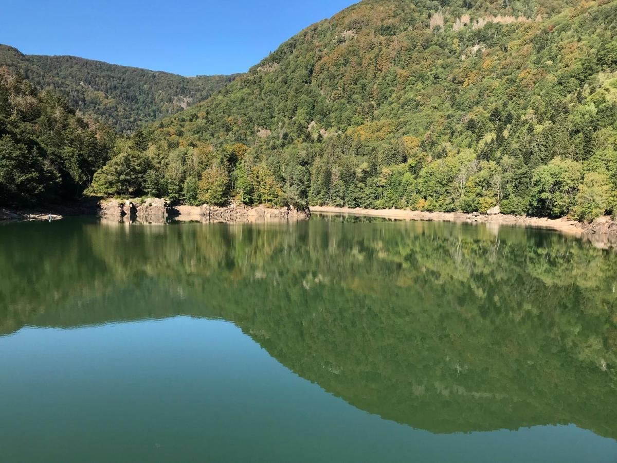 Gite Leonline Sur Les Hauteurs De Masevaux -Au Pied Des Vosges Masevaux-Niederbruck Exterior foto
