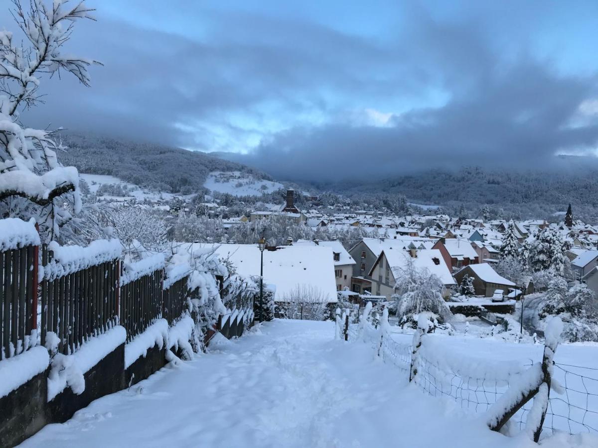 Gite Leonline Sur Les Hauteurs De Masevaux -Au Pied Des Vosges Masevaux-Niederbruck Exterior foto